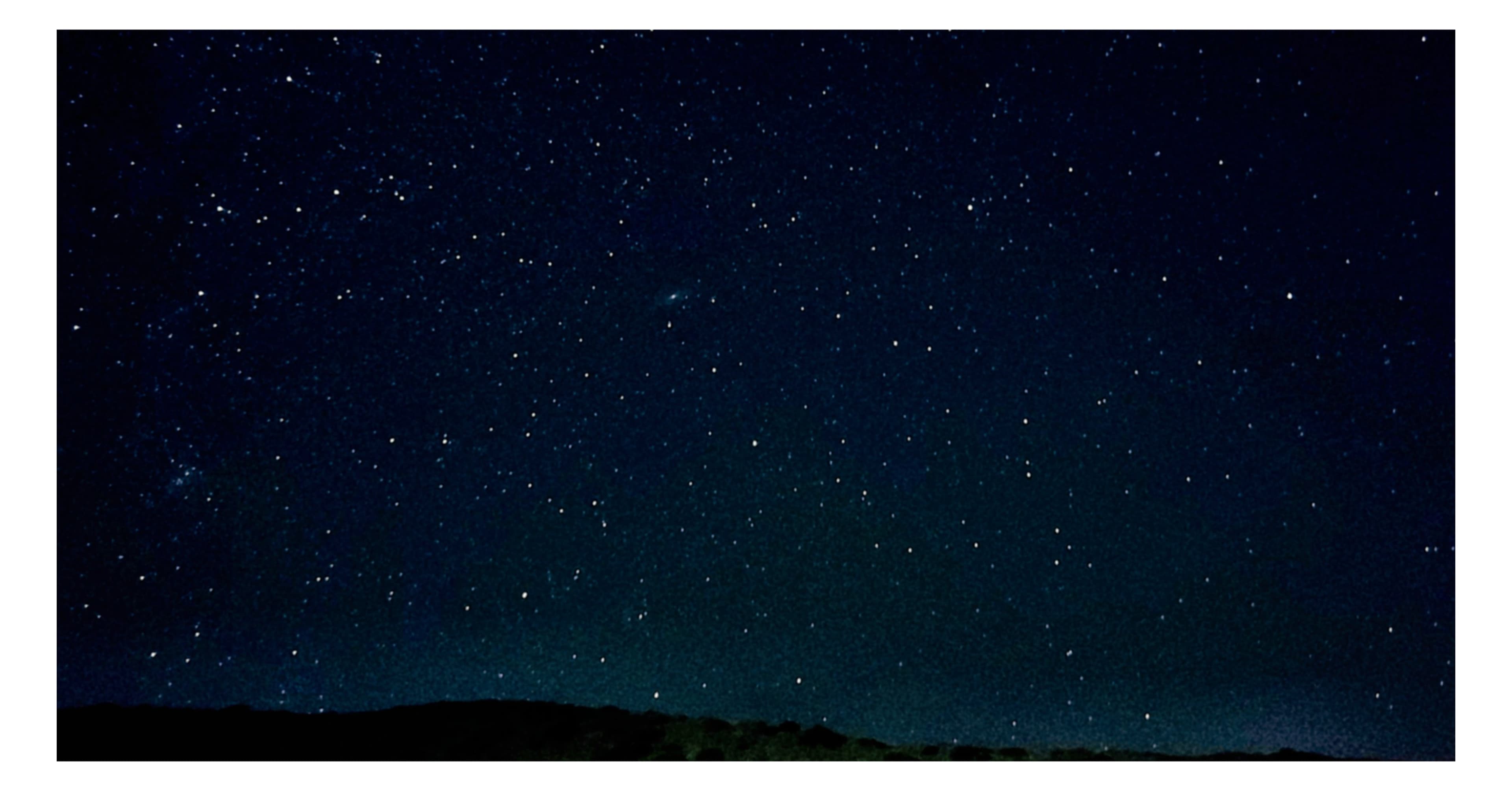 Photograph by Nakita Ray